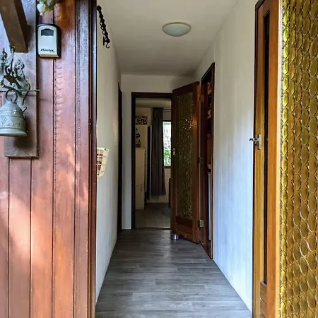 Chalet Sfeervol Chaletje In Rustige Bosrijke Omgeving Diessen