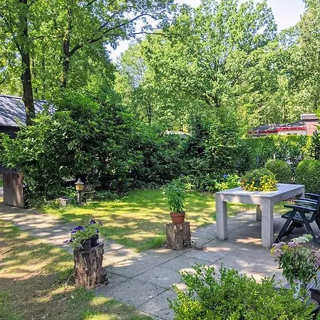 Chalet Sfeervol Chaletje In Rustige Bosrijke Omgeving Diessen