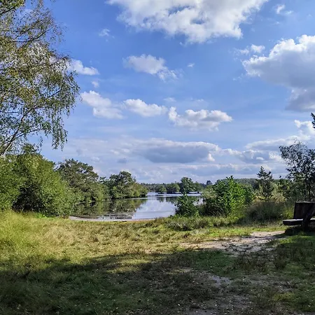 Sfeervol Chaletje In Rustige Bosrijke Omgeving Diessen